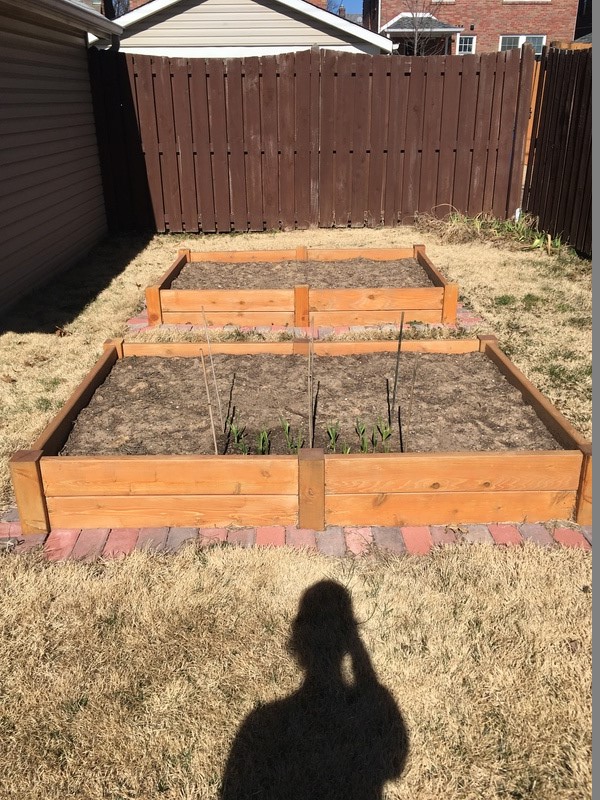 Feedback for my 2017 garden plan Img_0411