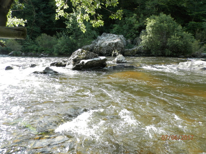 pêche - Sejour pêche en Haute loire P6070115