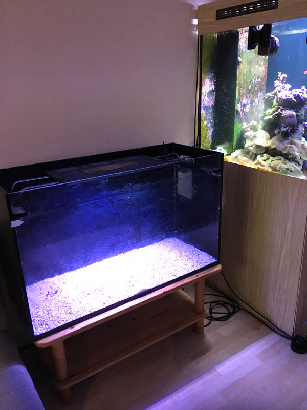 bac fish only 1500 litres Version 1 :  - Page 2 Sable10