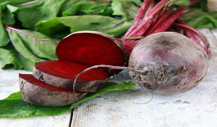 This Plant Returned My Vision, Removed Fat From My Liver And Completely Cleansed My Colon Beet_r10