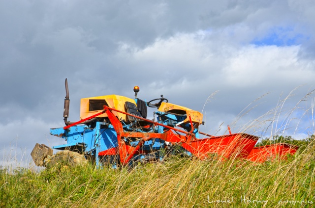 DERNIERS COUPS de SECATEURS 07_dsc10