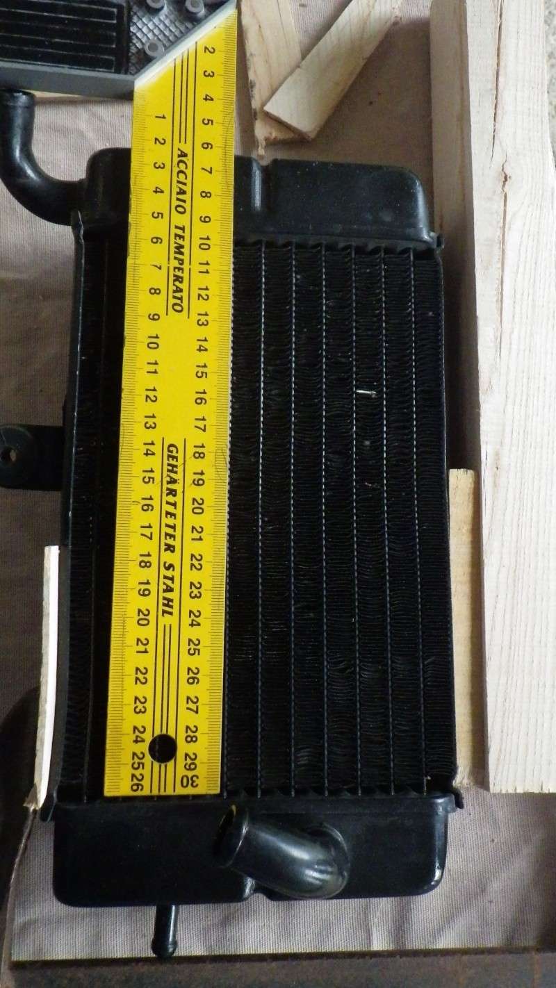 radiateur - Rechercher Imgp0419