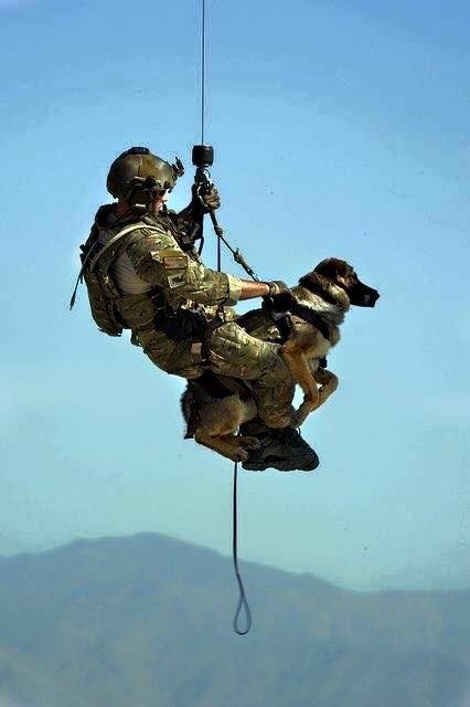 Ces soldats dont on parle si peu ! Image_67