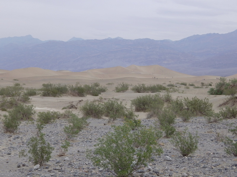 DEATH VALLEY Imga0614