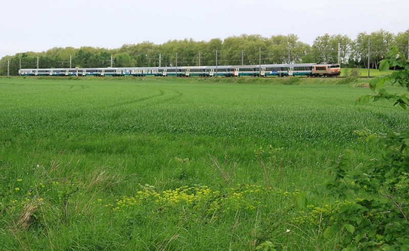 Photos et vidéos des trains de pèlerins sur la ligne Bordeaux-Toulouse-Sète Img_8910