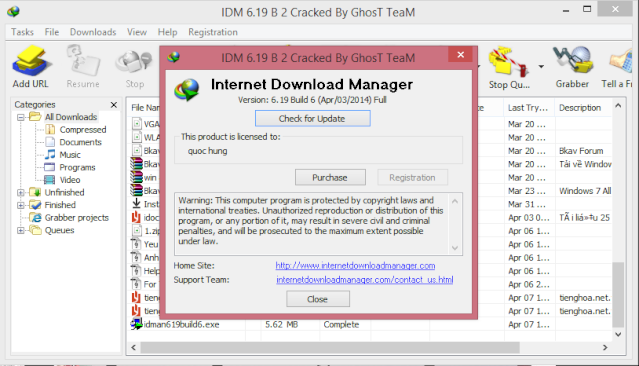 Internet Download Manager v6.19 build 6 + patch IDM 6.xx Idm10