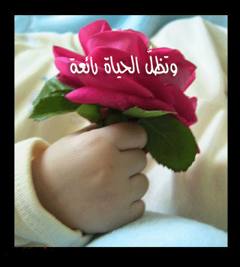 كم هى الحياة....؟؟  B0a8d410