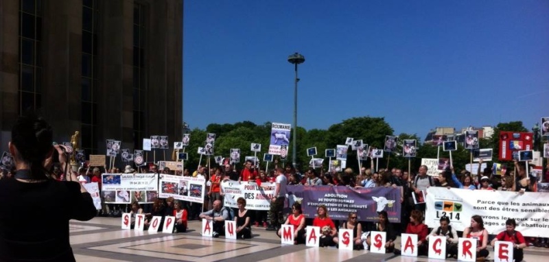 manifestation en France le 17 mai 2014 contre le massacre des chiens en roumanie - Page 34 10274110