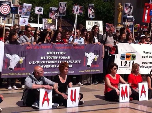 manifestation en France le 17 mai 2014 contre le massacre des chiens en roumanie - Page 30 10294310