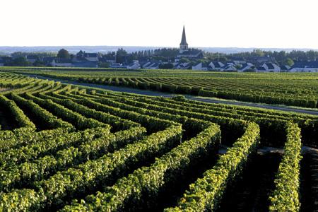 Visu en Touraine Bourgueil samedi 20 mai 2017   Stnico10