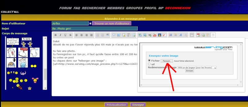 [TUTORIEL] Insérer une image 0211