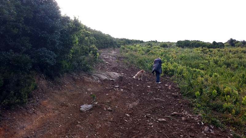 La Corse Mai 2014 10110