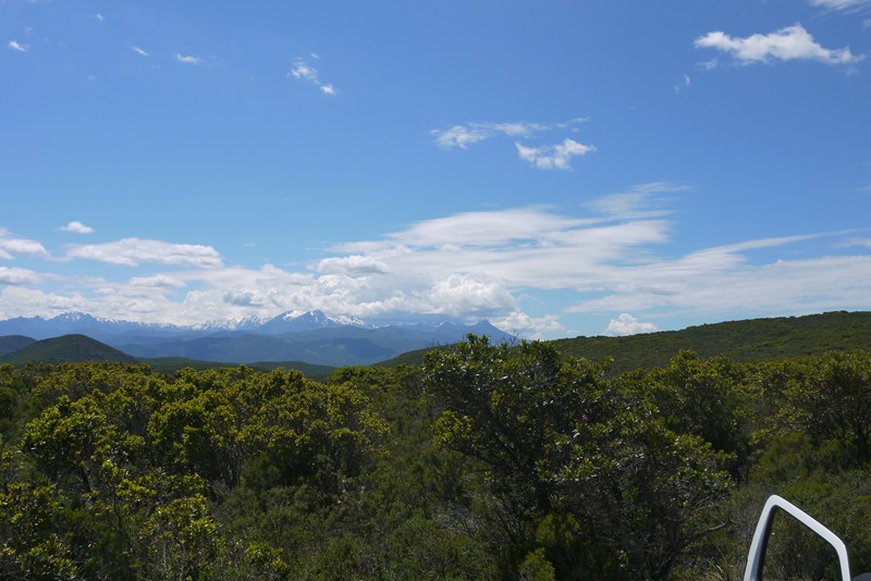 La Corse Mai 2014 11310