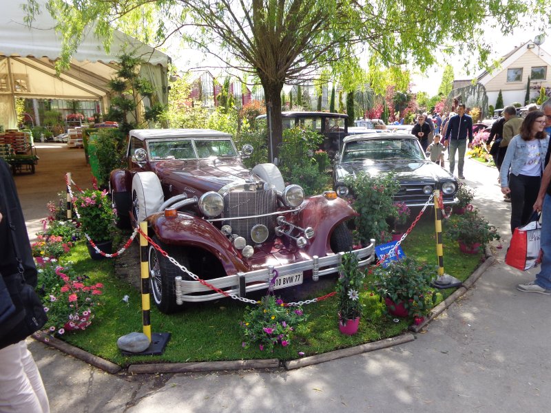 Expomobile à Chelles (77) le 30 avril 2017 Img_0891