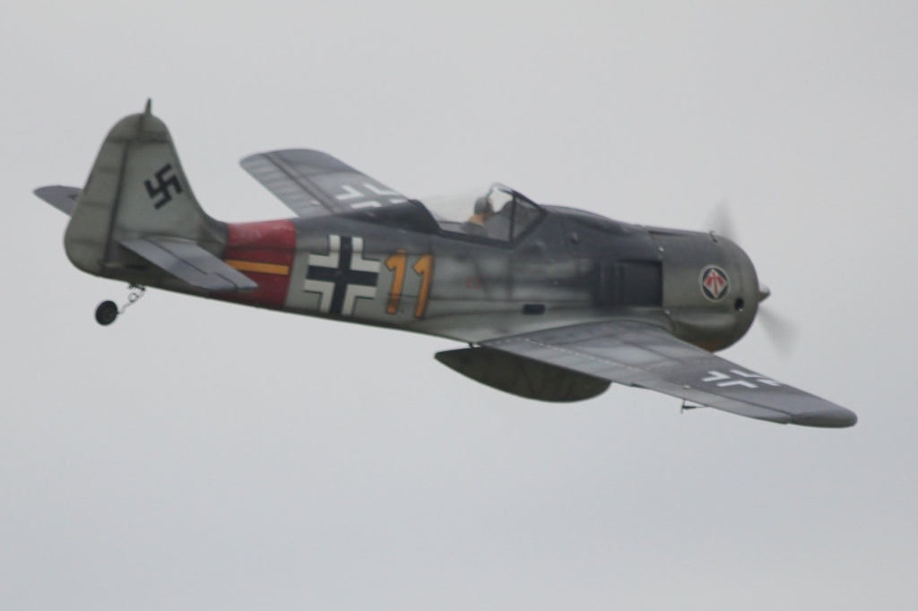 ESM Focke Wulf FW-190 Philli11