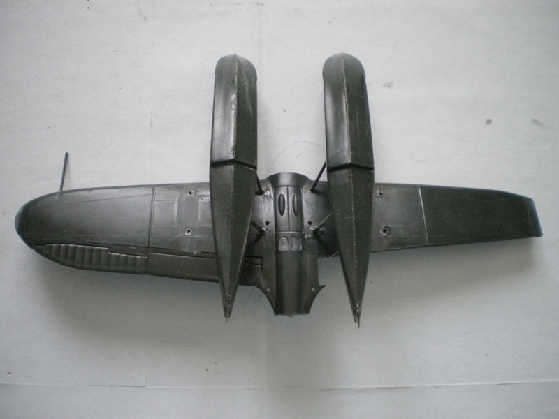 FINI [Hasegawa] Aichi E 13A1 Aéronavale 1946 Imgp0085