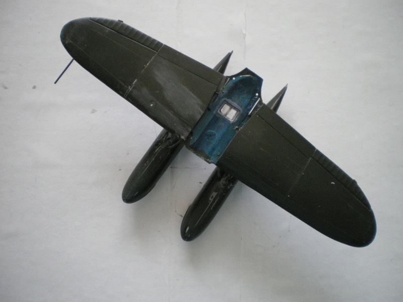 Aichi E13A1 TYPE-ZERO Aéronavale 1946/ Hasegawa-Carpena Imgp0103