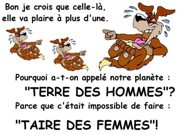 Humour en image ... - Page 17 99550110