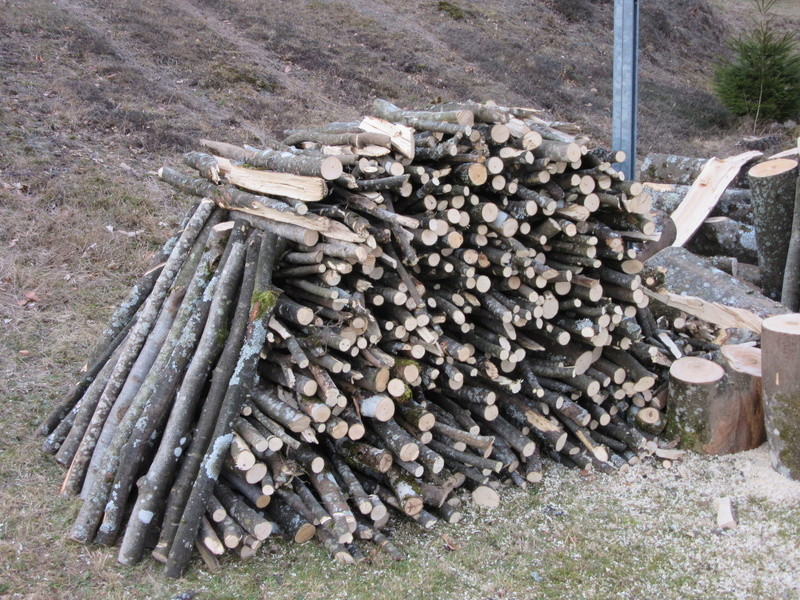 chantier coupe bois maison de repos Img_1217