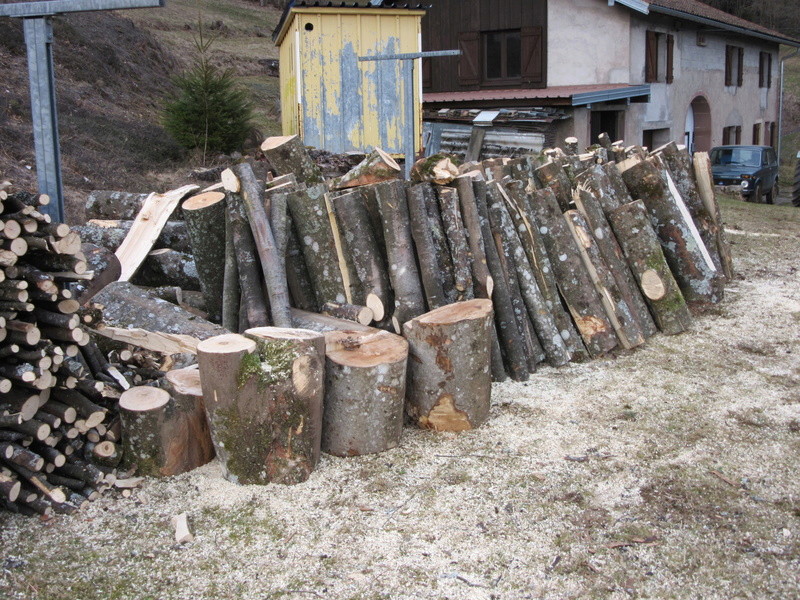 chantier coupe bois maison de repos Img_1220