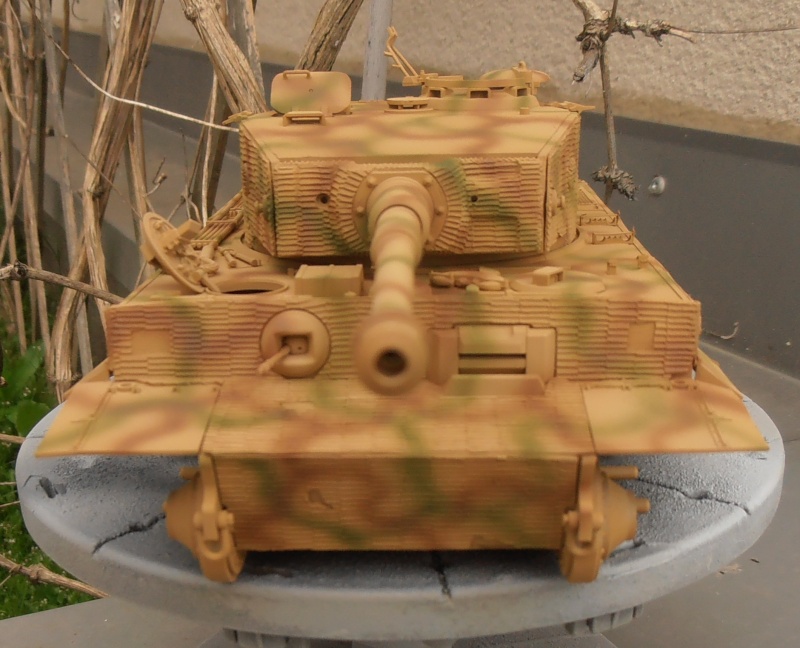 Tigre I " panzer abteilung 101 " [Tamyia, 1/35]: le montage et le diorama. - Page 3 P4210716