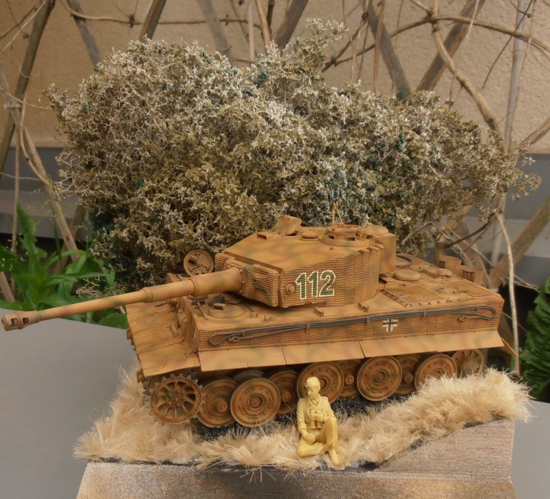Tigre I " panzer abteilung 101 " [Tamyia, 1/35]: le montage et le diorama. - Page 5 P5030810