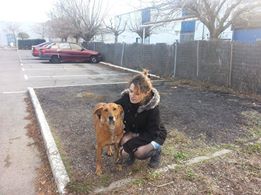Urgence pour ces chiens menacés d'eutha. Recherchons en priorité refuges et assos pour transfert, adoptant en France et FA sur le local - Page 3 Aa26