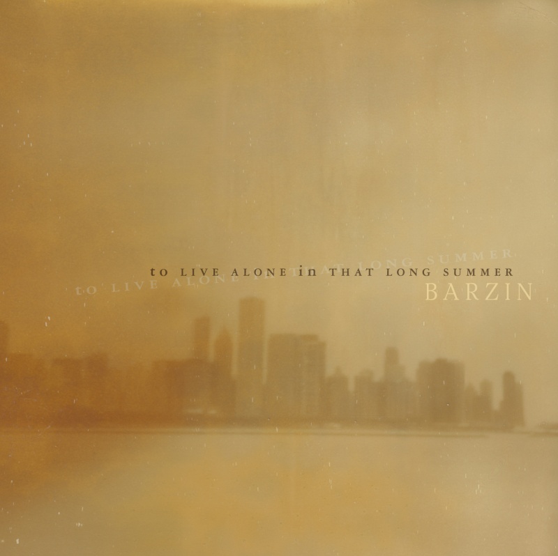 Prendiamocela con molta calma: Barzin - To Live Alone In That Long Summer (2014) Mono-810