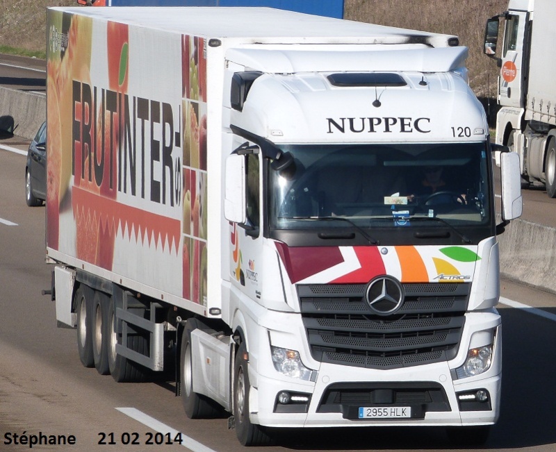 Nuppec  - Fruitinter  (Villarreal) P1190748