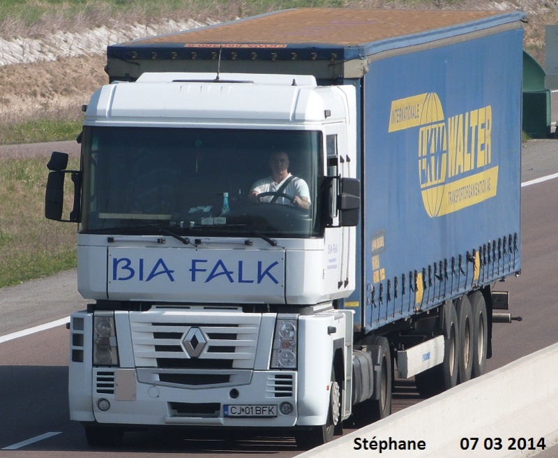 Bia Falk  (Cluj Napoca) P1200867