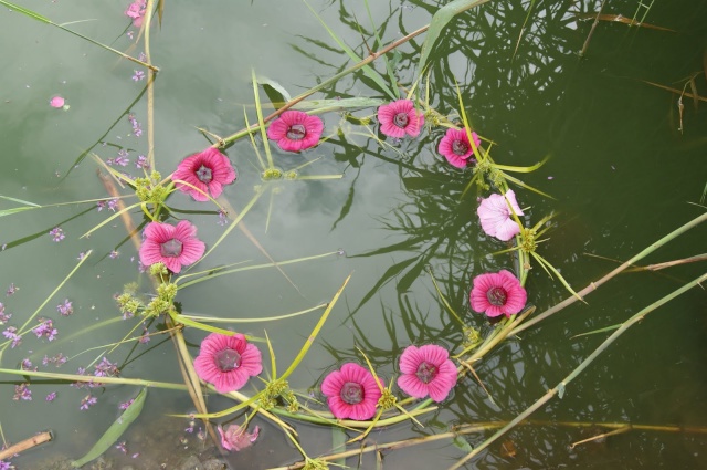 LAND ART, la nature pour chevalet 1_1_2623