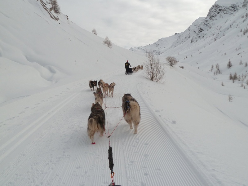 3 jours dans le Queyras - janvier 2014 2014_022