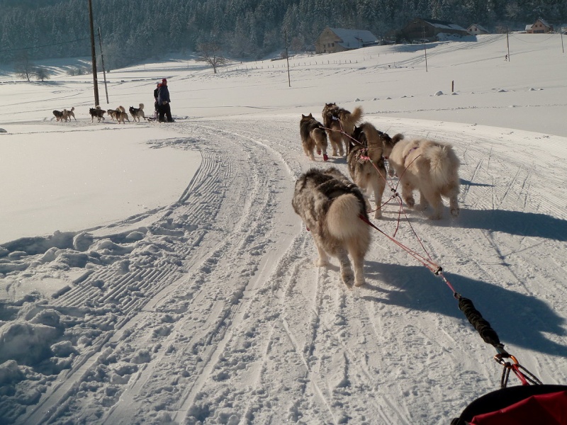 Méaudre 25/01/2014 2014_032