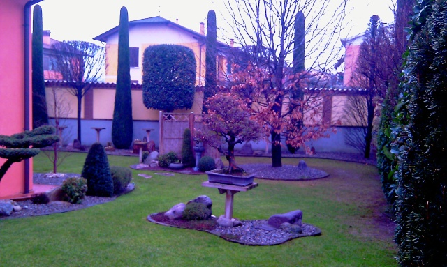 Bonsaicaffe - GARDEN - - Pagina 3 Imag6911