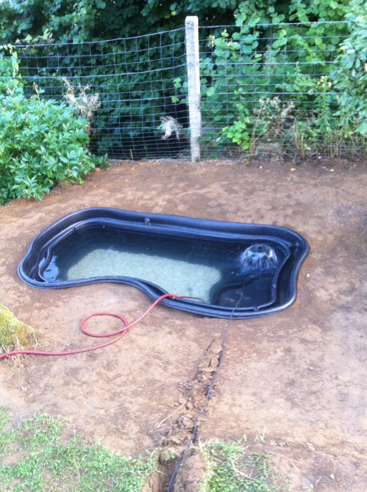 Bassin 1000L Oase PoisssonRouge