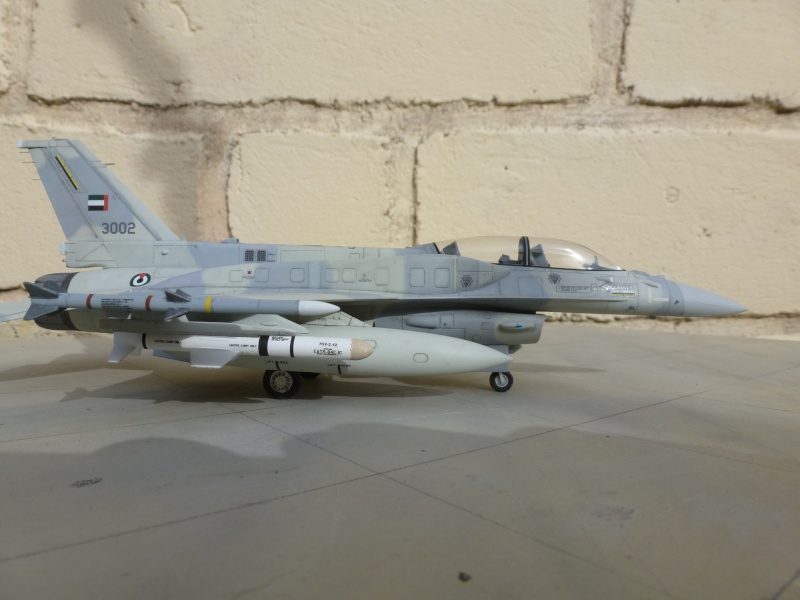 F 16 E Block 60  Abu Dhabi  1/72  kinekit/Revell - Page 2 08810