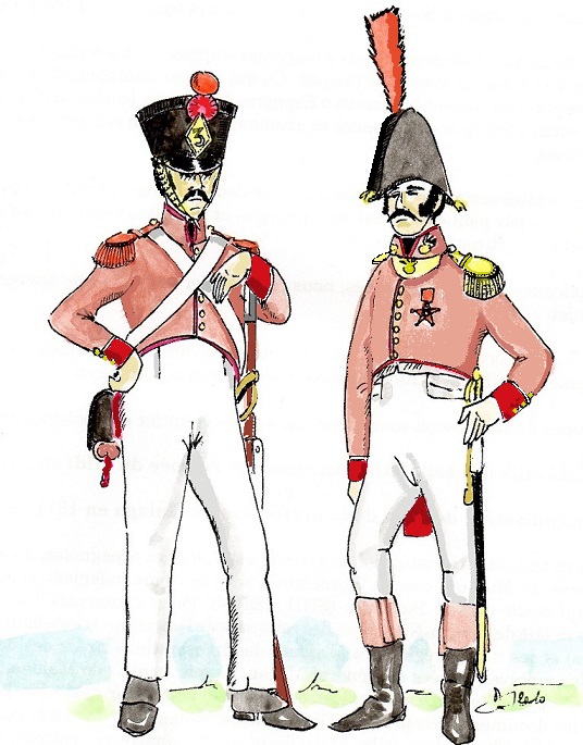 troupes espagnoles du roi Joseph  Napoleon Img39512