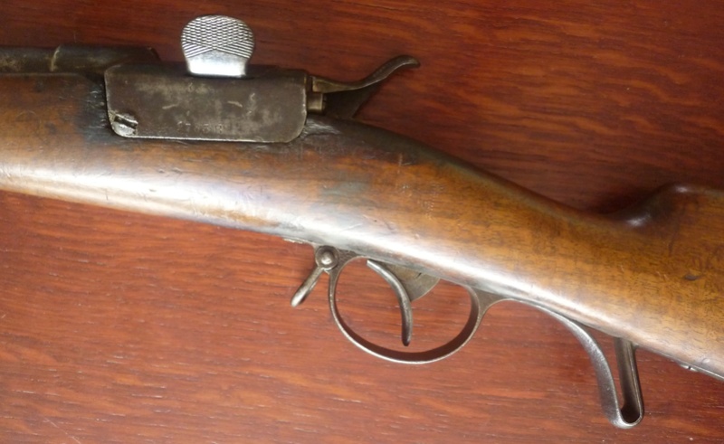 carabine Werndl 1867/77 P1250014