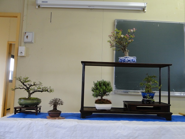 fête des plantes dans un lycée horticole  Dsc04913