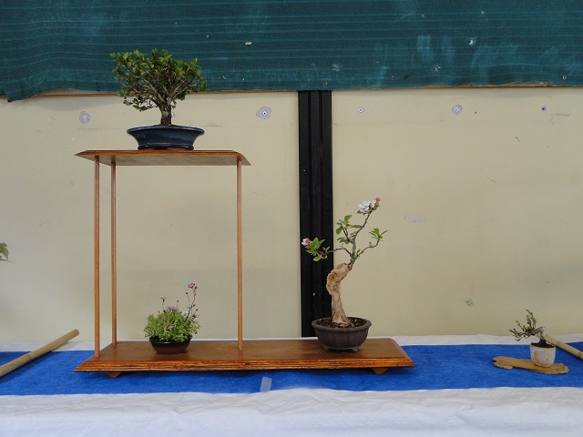 fête des plantes dans un lycée horticole  Dsc04924