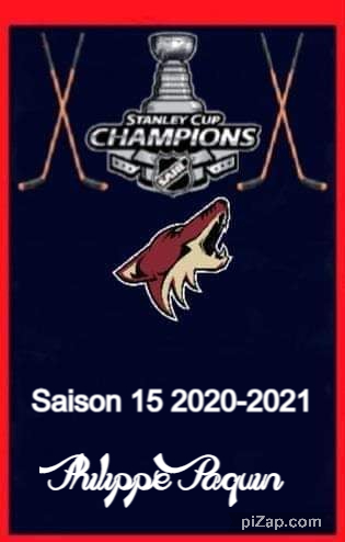 NFHL Champi20