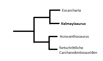 Kelmayisaurus petrolicus Kelmay10