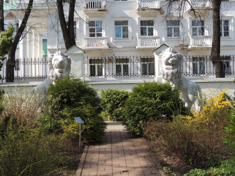 Губернаторский сад в Ярославле Dscn7334
