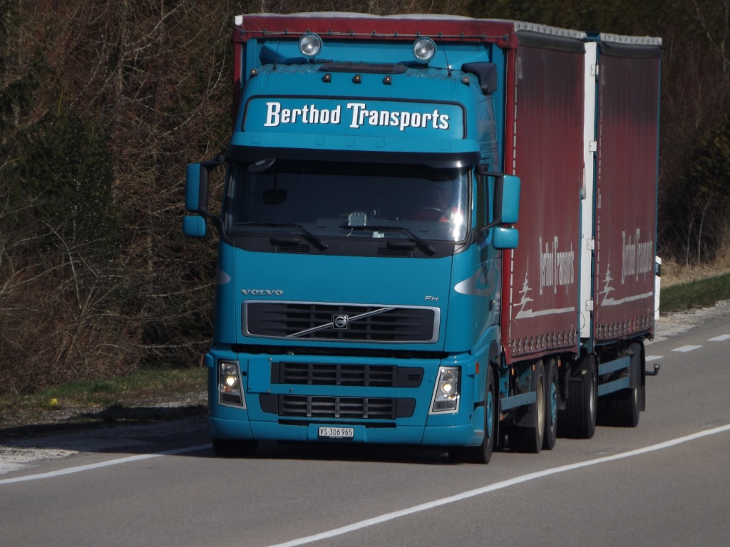 Berthod Transports (Sion) Dscf3455