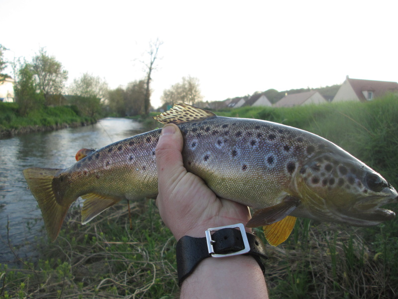 -Vos Petites sorties Truites/Salmonidés 2017. - Page 2 Img_1311