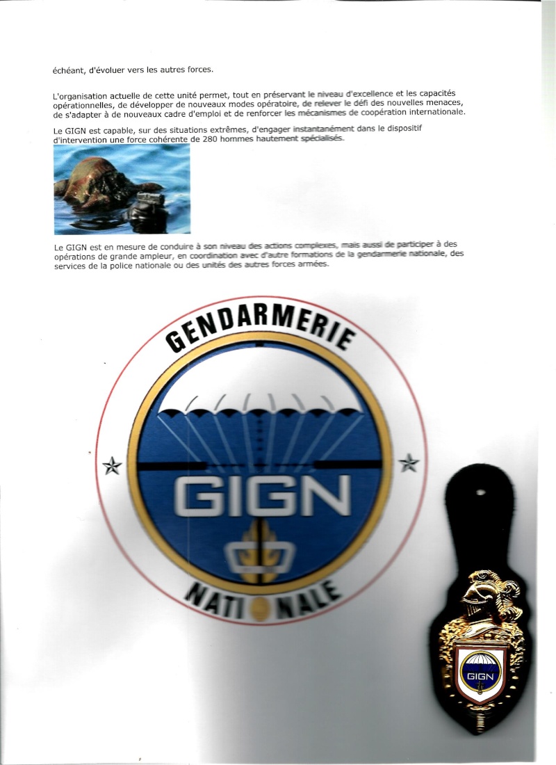 GENDARMERIE NATIONALE Gign110