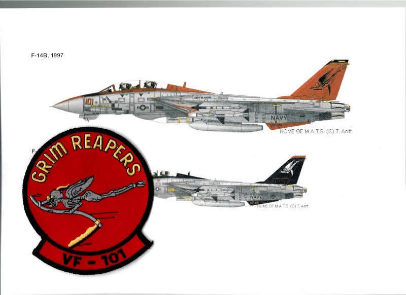 AVIATION CHASSE USAF: Unités dotées du GRUMMAN F-14 TOMCAT Vf10110