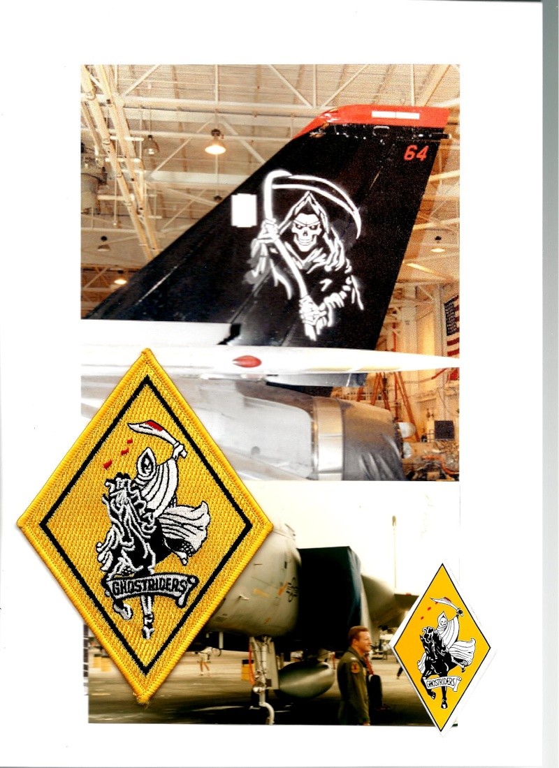 AVIATION CHASSE USAF: Unités dotées du GRUMMAN F-14 TOMCAT Vf14210
