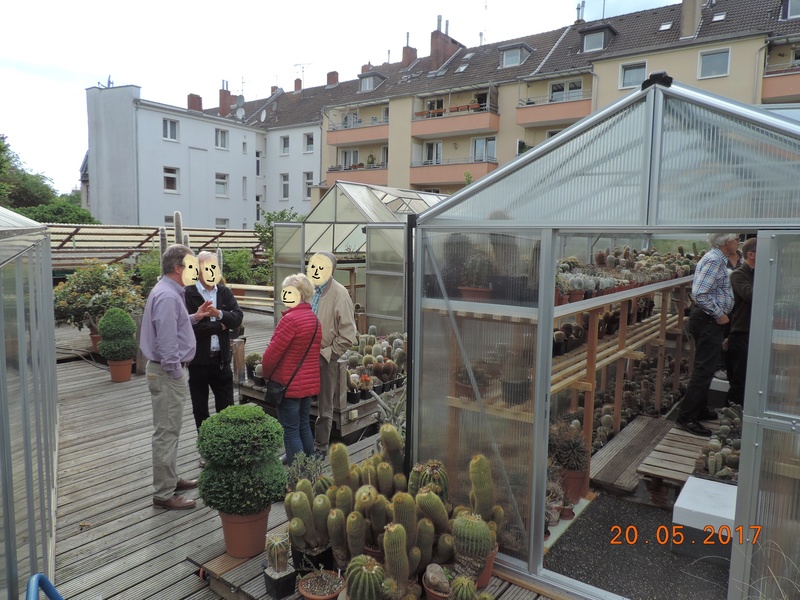 Cacti and Sukkulent in Köln, every day new flowers in the greenhouse Part 163 Bild_749