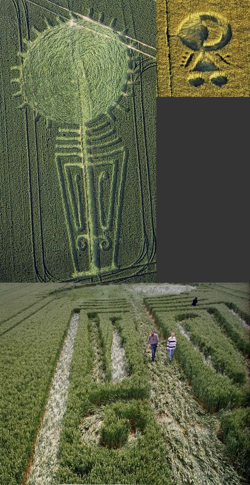 crop circles 1996 17-eas10